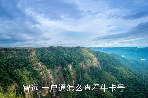 智遠(yuǎn) 一戶通怎么查看?？ㄌ?hào)