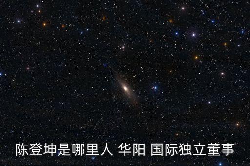 陳登坤是哪里人 華陽 國際獨(dú)立董事