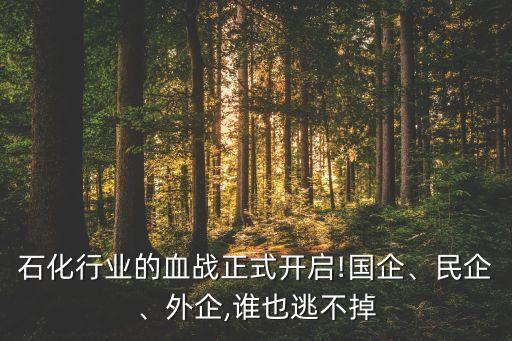 石化行業(yè)的血戰(zhàn)正式開(kāi)啟!國(guó)企、民企、外企,誰(shuí)也逃不掉