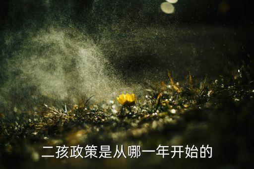 二孩政策是從哪一年開(kāi)始的