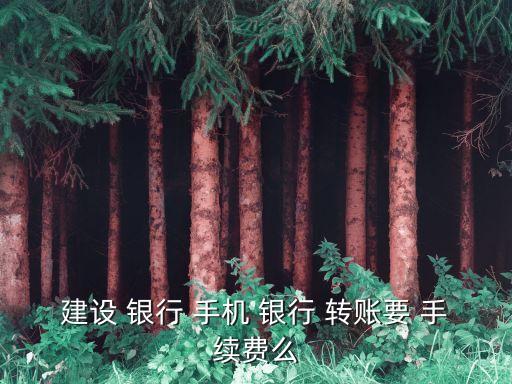 建設(shè) 銀行 手機 銀行 轉(zhuǎn)賬要 手續(xù)費么