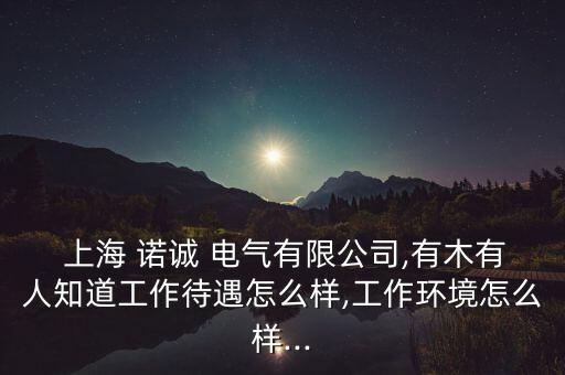 上海諾誠電氣的業(yè)績(jī)