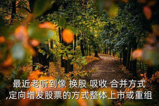 最近老聽(tīng)到像 換股 吸收 合并方式,定向增發(fā)股票的方式整體上市或重組