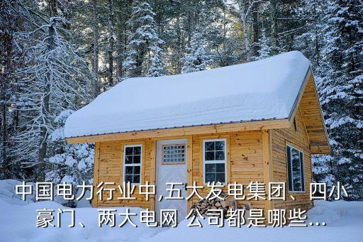 中國電力行業(yè)中,五大發(fā)電集團(tuán)、四小豪門、兩大電網(wǎng) 公司都是哪些...