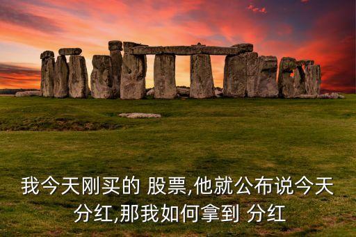 股票分紅怎么領取,什么是分紅股