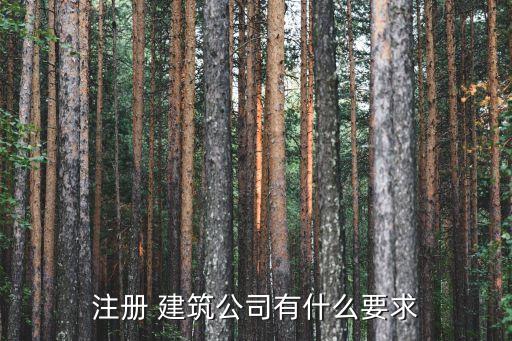 建筑企業(yè)分公司章程,不能要求建筑企業(yè)設立分公司