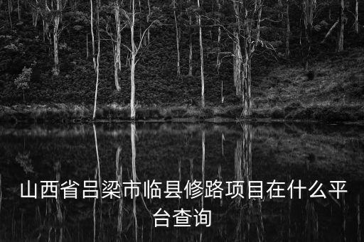 山西神州招標(biāo)有限公司,山西中大國信國際招標(biāo)有限公司