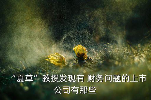 “夏草”教授發(fā)現有 財務問題的上市公司有那些
