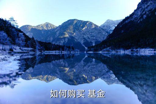 如何購(gòu)買(mǎi) 基金
