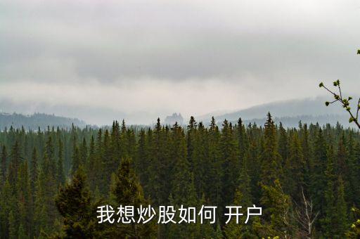 建行股票開(kāi)戶(hù)流程,建行對(duì)公一般賬戶(hù)開(kāi)戶(hù)流程