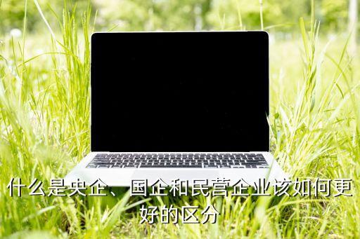 什么是央企、國(guó)企和民營(yíng)企業(yè)該如何更好的區(qū)分