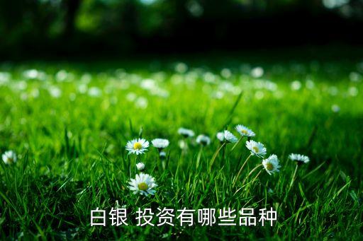 中國白銀集團(tuán)投資銀條,為什么投資銀條比白銀價格高