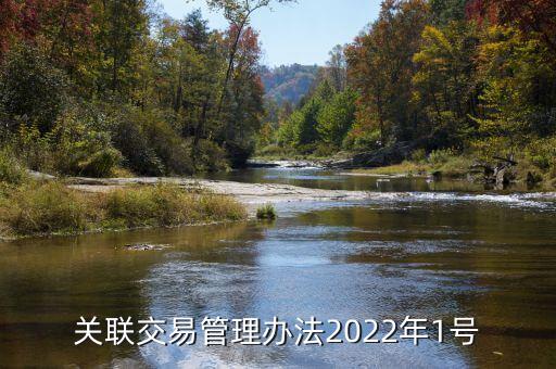 關(guān)聯(lián)交易管理辦法2022年1號(hào)