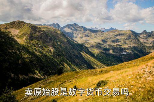 賣(mài)原始股是數(shù)字貨幣交易嗎
