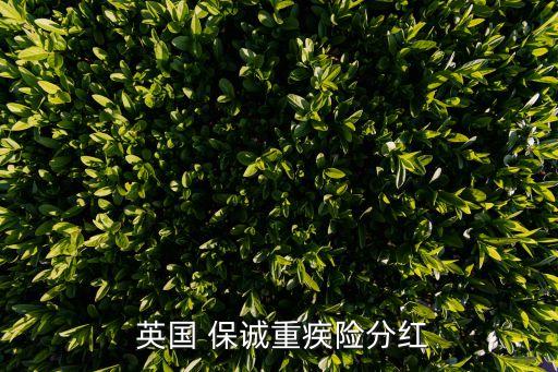  英國 保誠重疾險(xiǎn)分紅