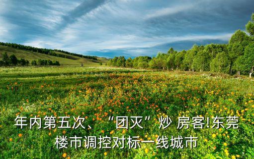 年內(nèi)第五次、“團(tuán)滅”炒 房客!東莞樓市調(diào)控對(duì)標(biāo)一線城市