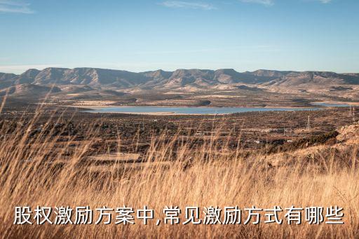 股權(quán)激勵(lì)方案中,常見(jiàn)激勵(lì)方式有哪些