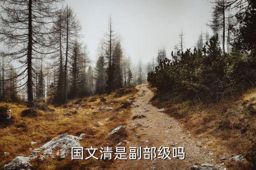 國文清是副部級嗎