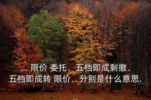 ... 限價 委托、五檔即成剩撤、五檔即成轉(zhuǎn) 限價、分別是什么意思...