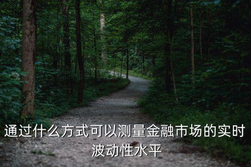 通過什么方式可以測量金融市場的實(shí)時(shí) 波動(dòng)性水平