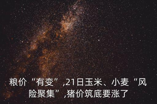 糧價“有變”,21日玉米、小麥“風(fēng)險聚集”,豬價筑底要漲了