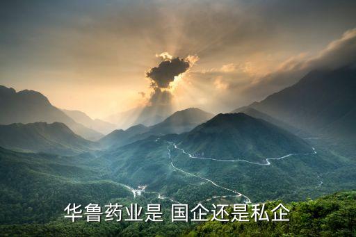 魯華集團(tuán)是國(guó)企嗎,山東魯華能源集團(tuán)是國(guó)企嗎