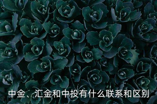 中金、匯金和中投有什么聯(lián)系和區(qū)別