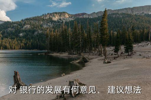 對 銀行的發(fā)展有何意見、 建議想法