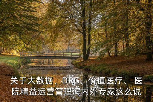 關(guān)于大數(shù)據(jù)、DRG、價(jià)值醫(yī)療、 醫(yī)院精益運(yùn)營管理海內(nèi)外專家這么說