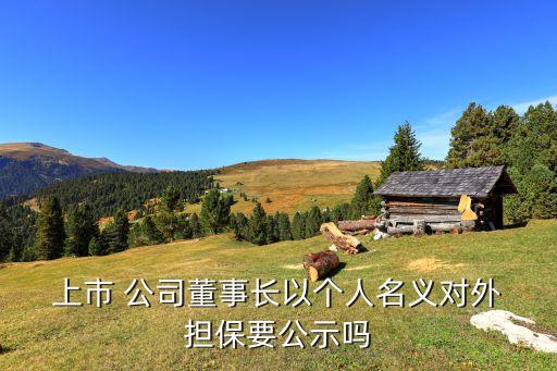  上市 公司董事長以個人名義對外 擔(dān)保要公示嗎