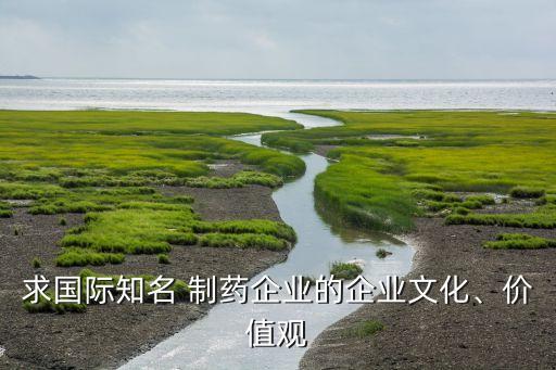 求國際知名 制藥企業(yè)的企業(yè)文化、價值觀