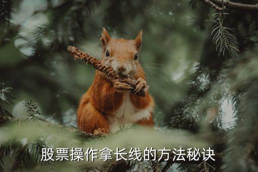 中國(guó)股市怎么做長(zhǎng)線(xiàn)