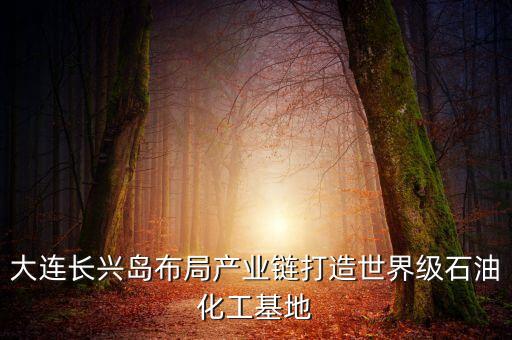 大連長興島布局產(chǎn)業(yè)鏈打造世界級(jí)石油化工基地