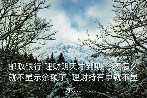 中國銀行業(yè)理財(cái)市場年度報告2012