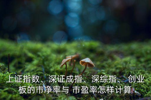 上證指數(shù)、深證成指、深綜指、 創(chuàng)業(yè)板的市凈率與 市盈率怎樣計(jì)算