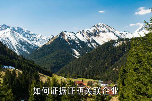 如何證據證明關聯企業(yè)