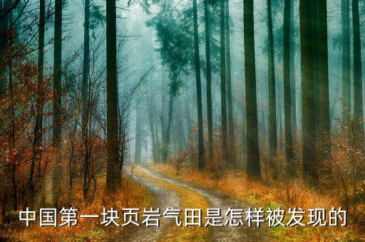 中國石化在內蒙古的氣井在哪里