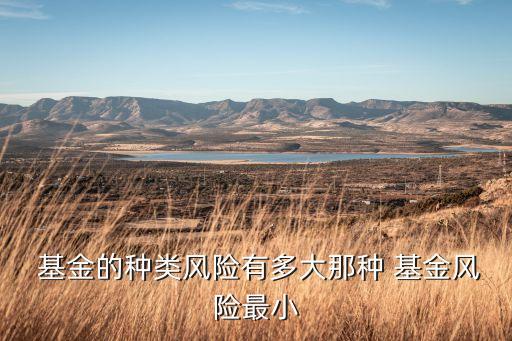  基金的種類(lèi)風(fēng)險(xiǎn)有多大那種 基金風(fēng)險(xiǎn)最小