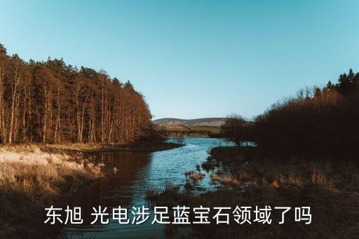 東旭 光電涉足藍寶石領域了嗎
