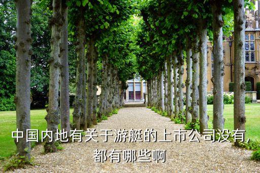中國內地有關于游艇的上市公司沒有,都有哪些啊
