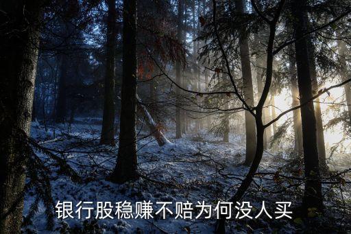 銀行股穩(wěn)賺不賠為何沒(méi)人買(mǎi)