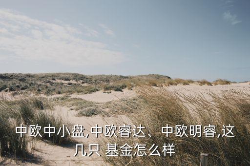 中歐中小盤,中歐睿達(dá)、中歐明睿,這幾只 基金怎么樣