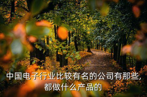 中國(guó)電子行業(yè)比較有名的公司有那些,都做什么產(chǎn)品的