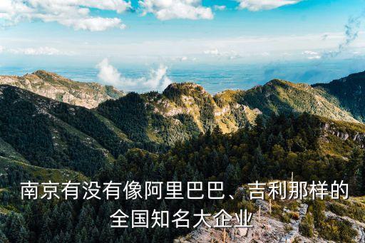  南京有沒(méi)有像阿里巴巴、吉利那樣的全國(guó)知名大企業(yè)