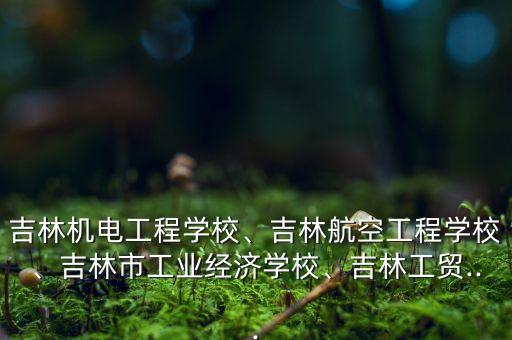 吉林機(jī)電工程學(xué)校、吉林航空工程學(xué)校、吉林市工業(yè)經(jīng)濟(jì)學(xué)校、吉林工貿(mào)...