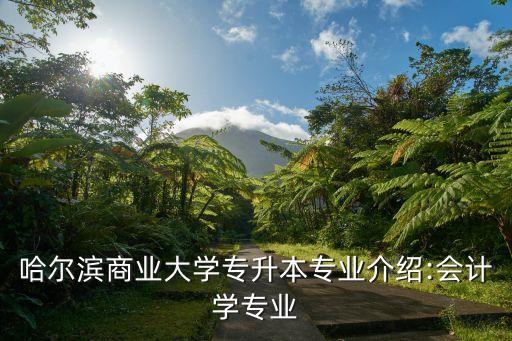哈爾濱商業(yè)大學(xué)專升本專業(yè)介紹:會計(jì)學(xué)專業(yè)
