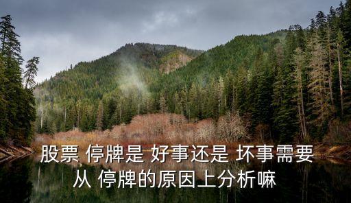 股票停牌是好事還是壞事,股票收購(gòu)?fù)Ｅ剖呛檬聠?/></a></span><span id=