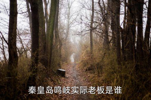深安集團(tuán)董事長,杜家良(深安保安集團(tuán)董事長)