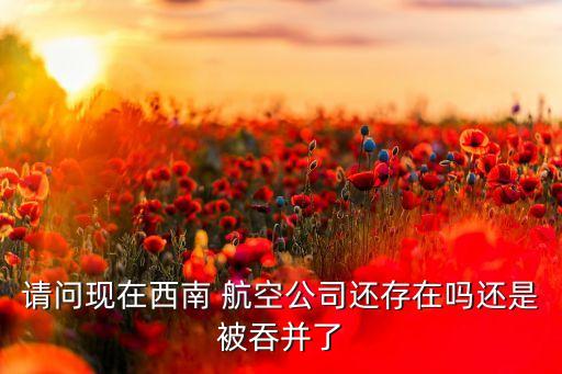 請(qǐng)問現(xiàn)在西南 航空公司還存在嗎還是被吞并了