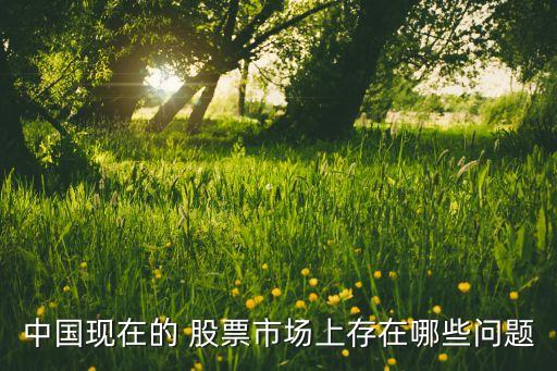 中國(guó)現(xiàn)在的 股票市場(chǎng)上存在哪些問題